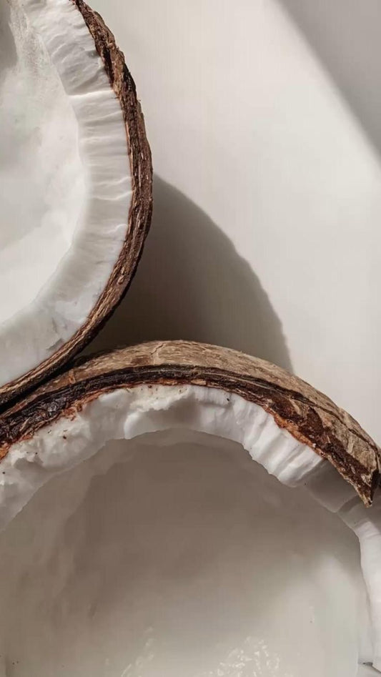 Coconut Water Margarita - Saltist