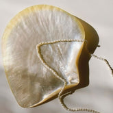 Mother of Pearl Caviar Plate