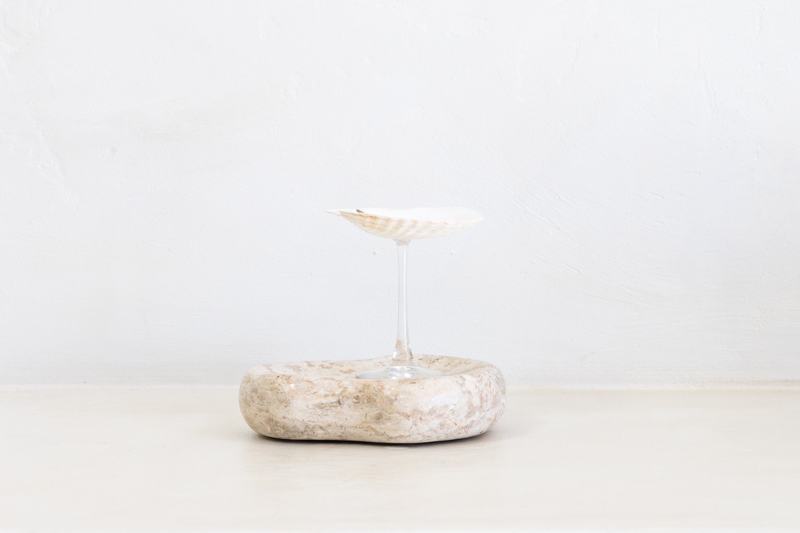 Sea Shell Champagne, Wine & Cocktail Glass