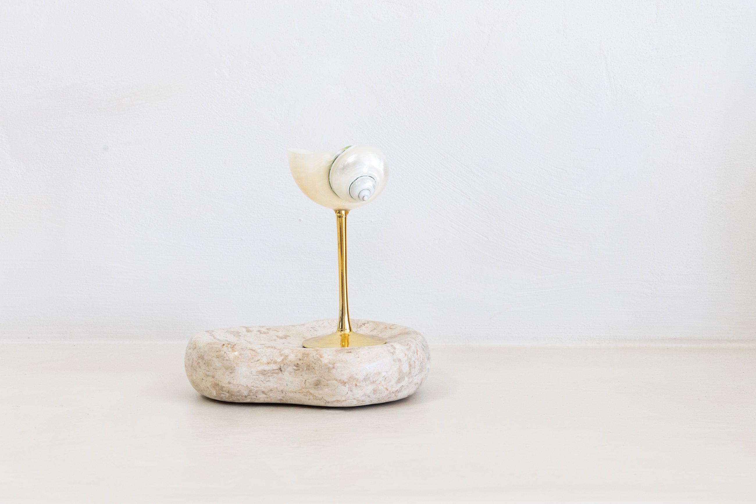 Conch Shell Wine, Champagne & Cocktail Glass