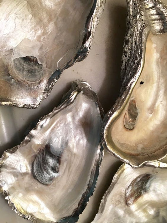 Tequila Oyster Shooter Recipe