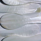 The Mother of Pearl Caviar Set