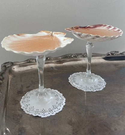 Sea Shell Cocktail Glass