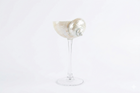 Conch Shell Wine, Champagne & Cocktail Glass
