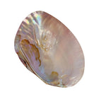 45330791596170|45330791628938