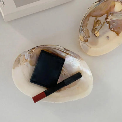 Natural Shell Dish