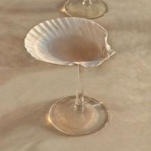 Shell Cocktail Glass Bundle