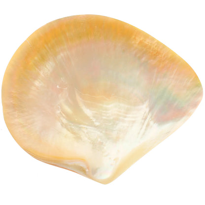 The Mother of Pearl Caviar Set