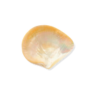 The Mother of Pearl Caviar Set