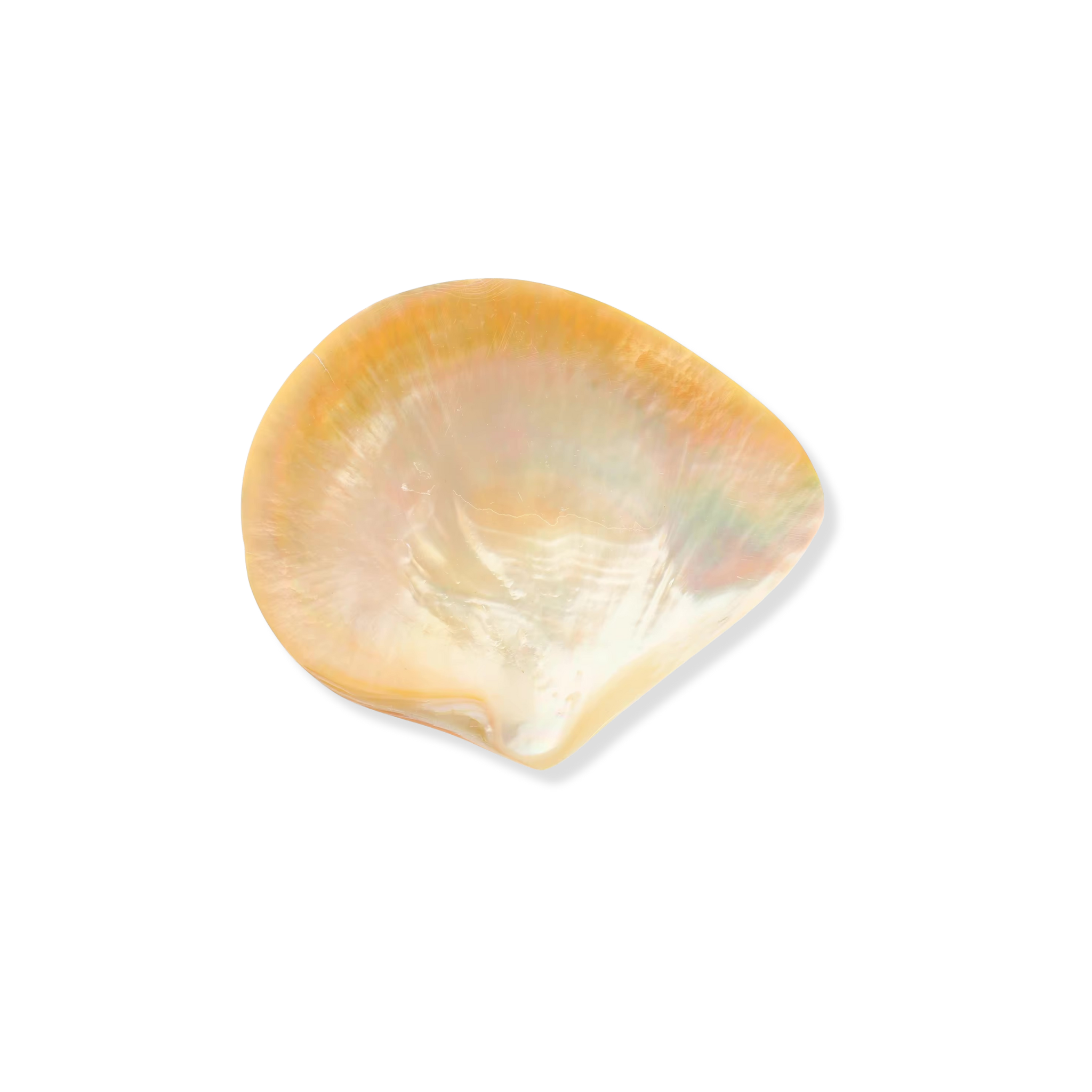 The Mother of Pearl Caviar Set