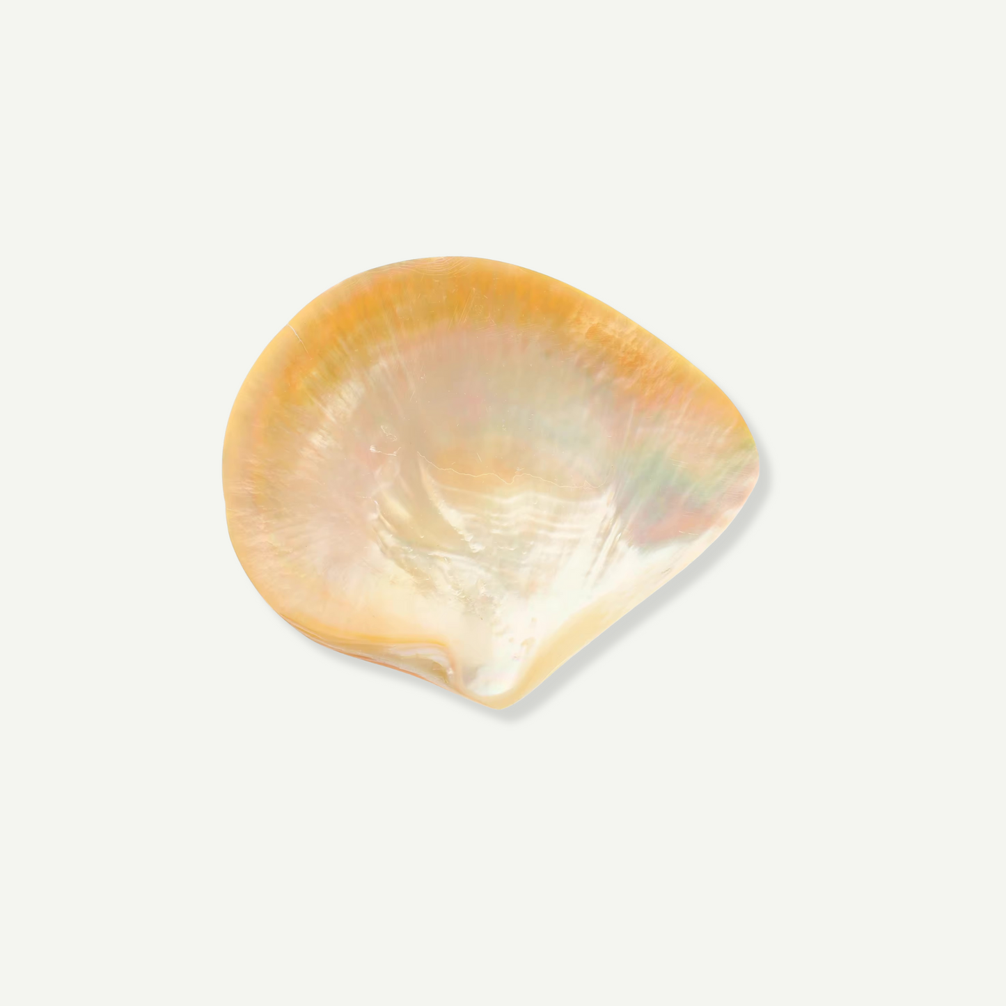 Mother of Pearl Caviar Plate