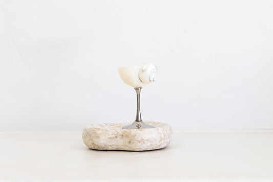 Conch Shell Wine or Cocktail Glass: Silver Stem