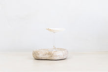 Sea Shell Cocktail Glass