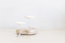 Sea Shell Cocktail Glass