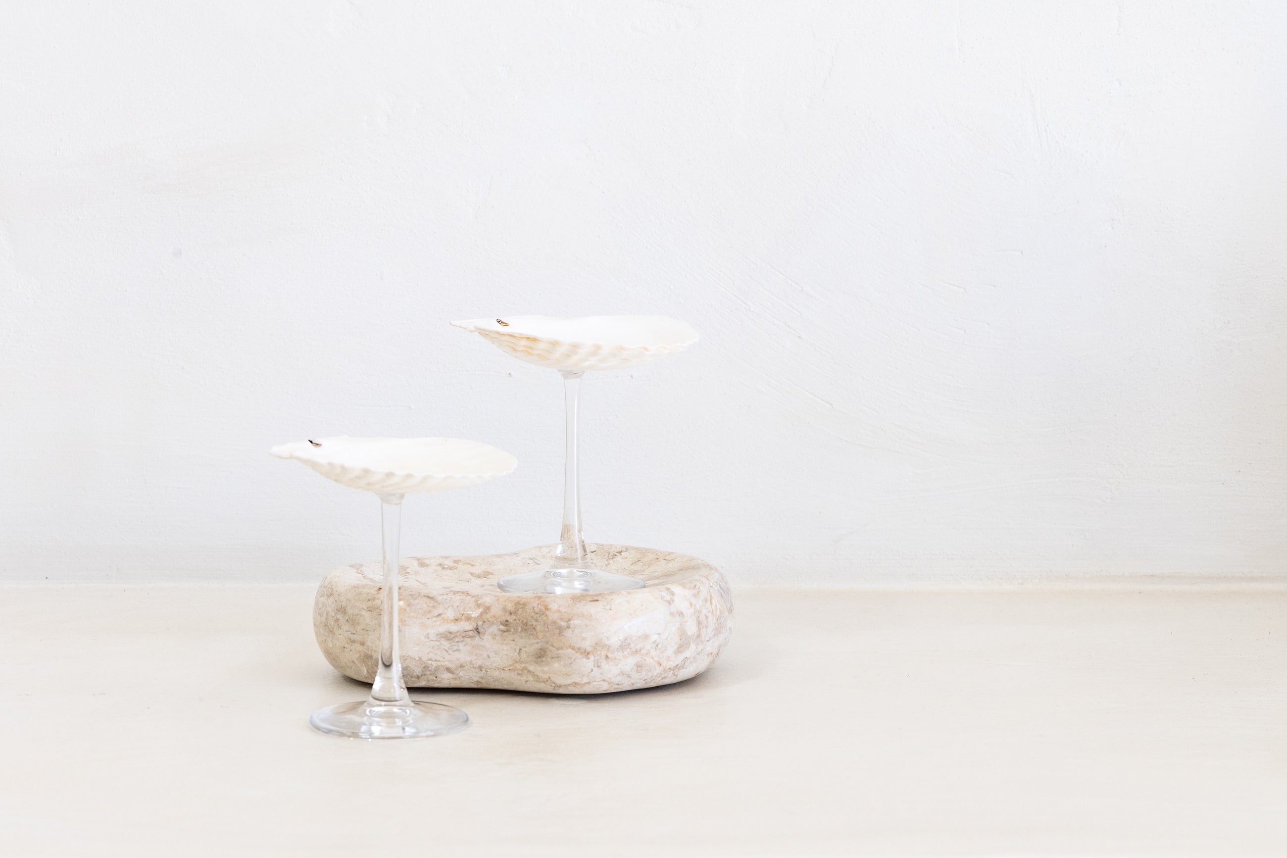 Sea Shell Cocktail Glass