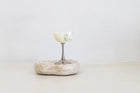 Conch Shell Wine, Champagne & Cocktail Glass