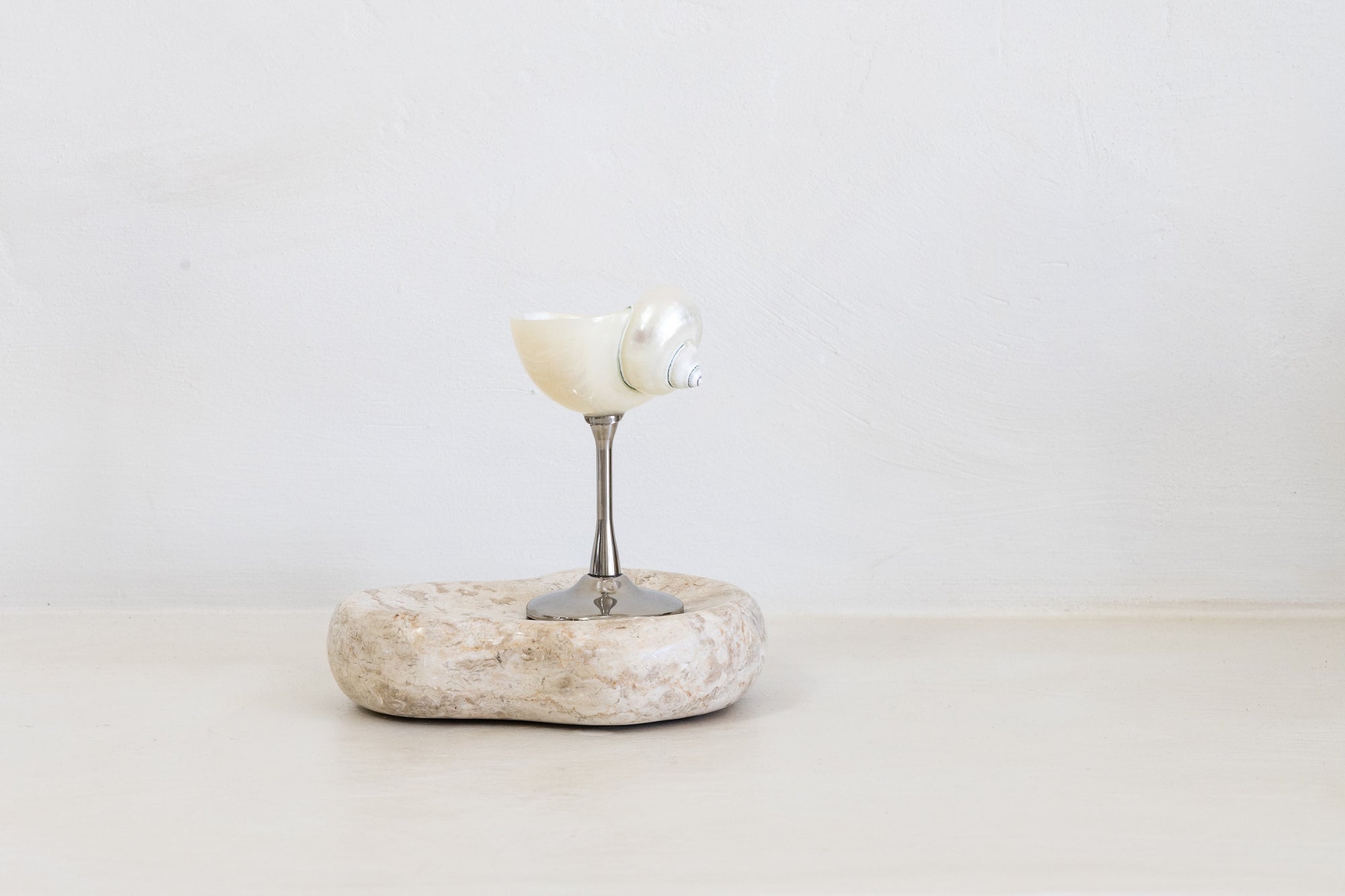 Conch Shell Wine, Champagne & Cocktail Glass