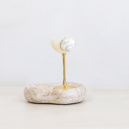 Conch Shell Wine or Cocktail Glass: Gold Stem