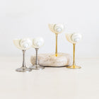 Shell Cocktail Glass Bundle