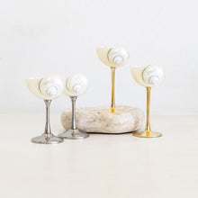 Shell Cocktail Glass Bundle