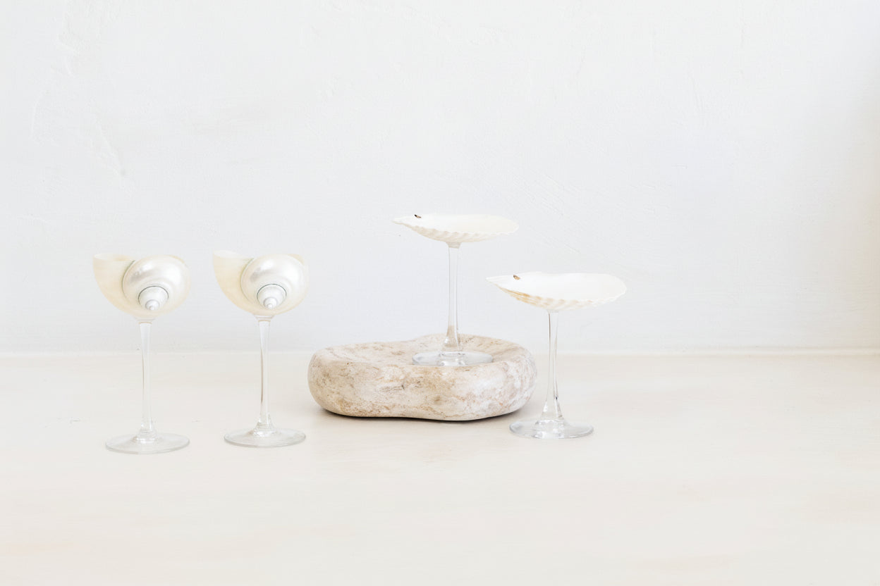 Shell Cocktail Glass Bundle