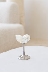 Conch Shell Cocktail Glass: Silver