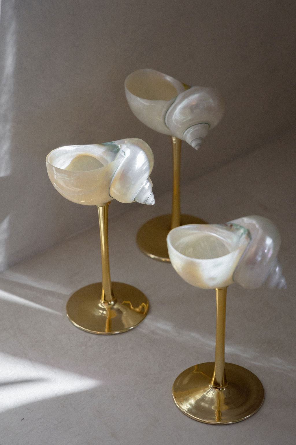 Conch Shell Wine or Cocktail Glass: Gold Stem