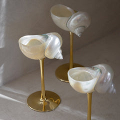 Conch Shell Cocktail Glass: Gold