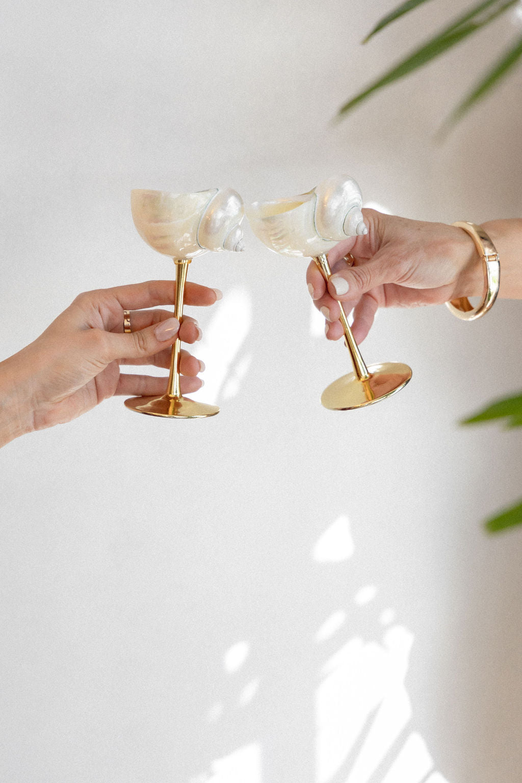 Conch Shell Wine or Cocktail Glass: Gold Stem