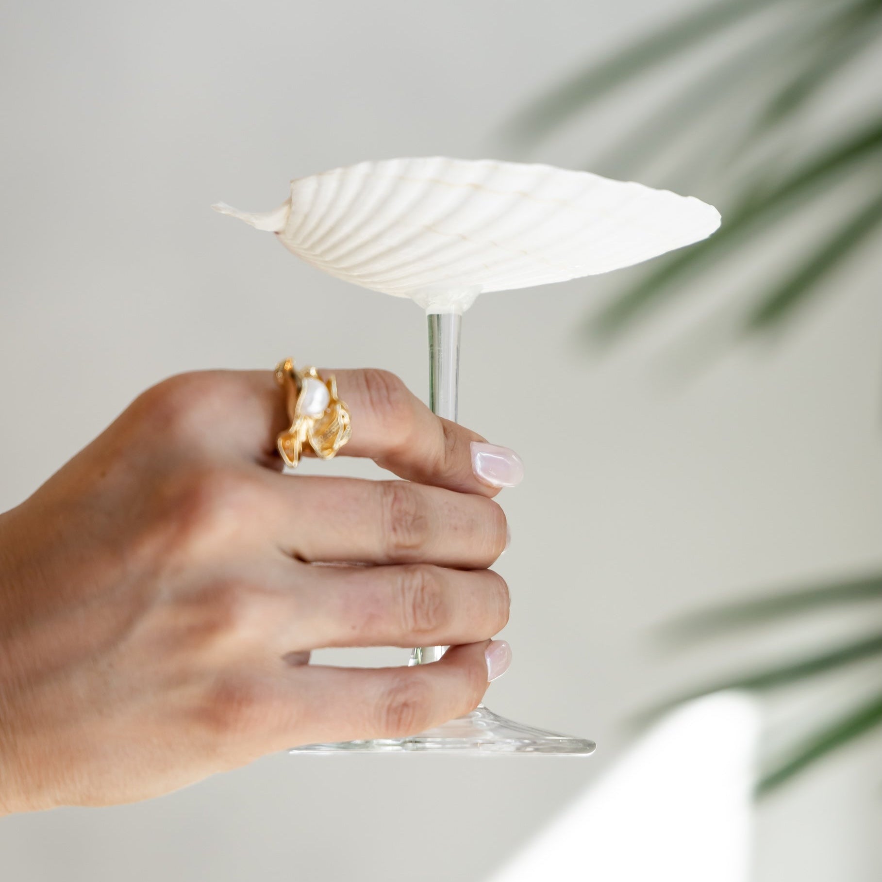 Sea Shell Cocktail Glass