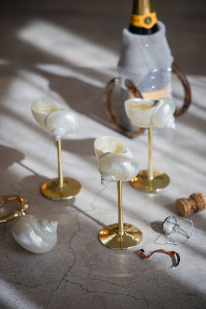 Conch Shell Wine or Cocktail Glass: Gold Stem