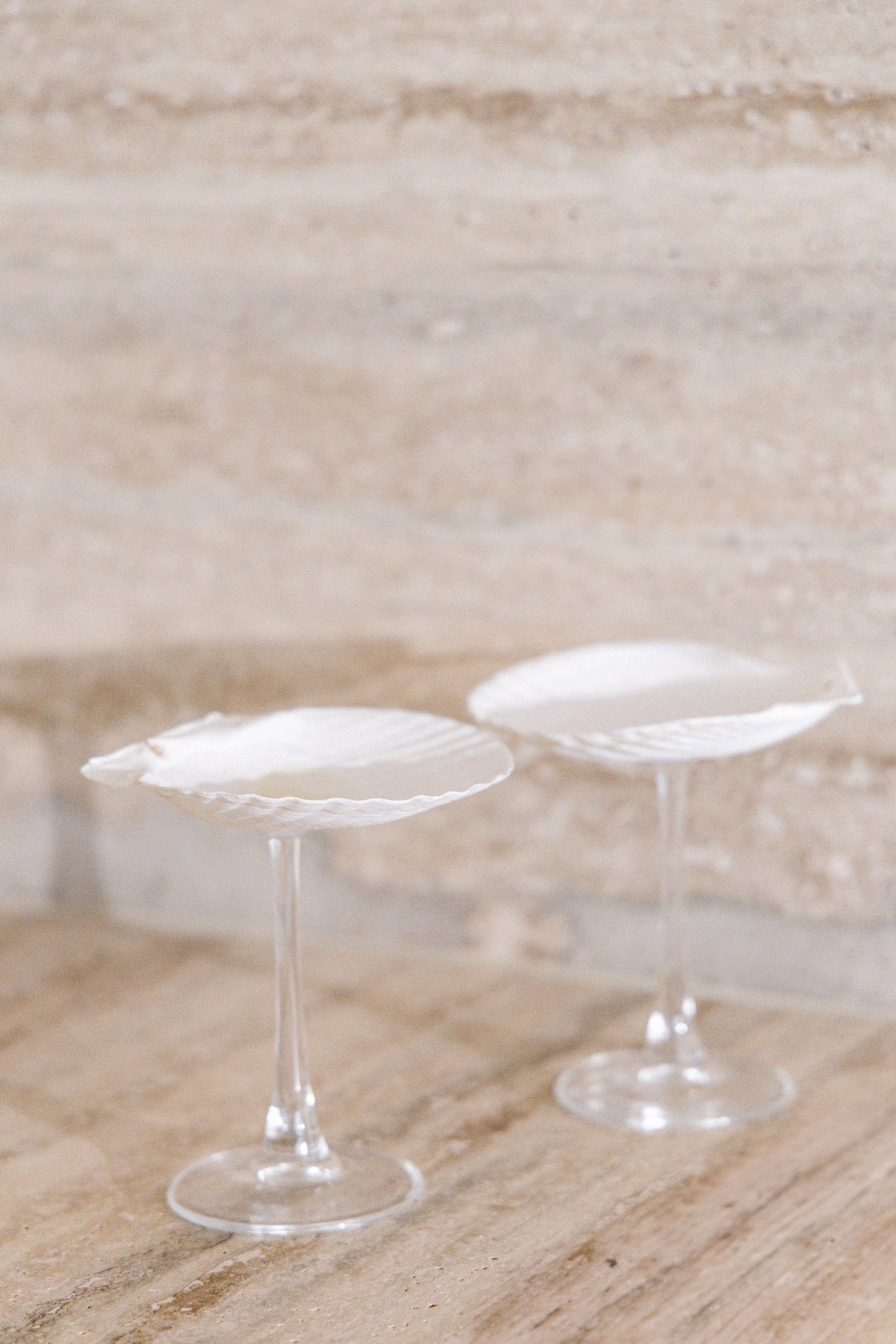 Sea Shell Cocktail Glass