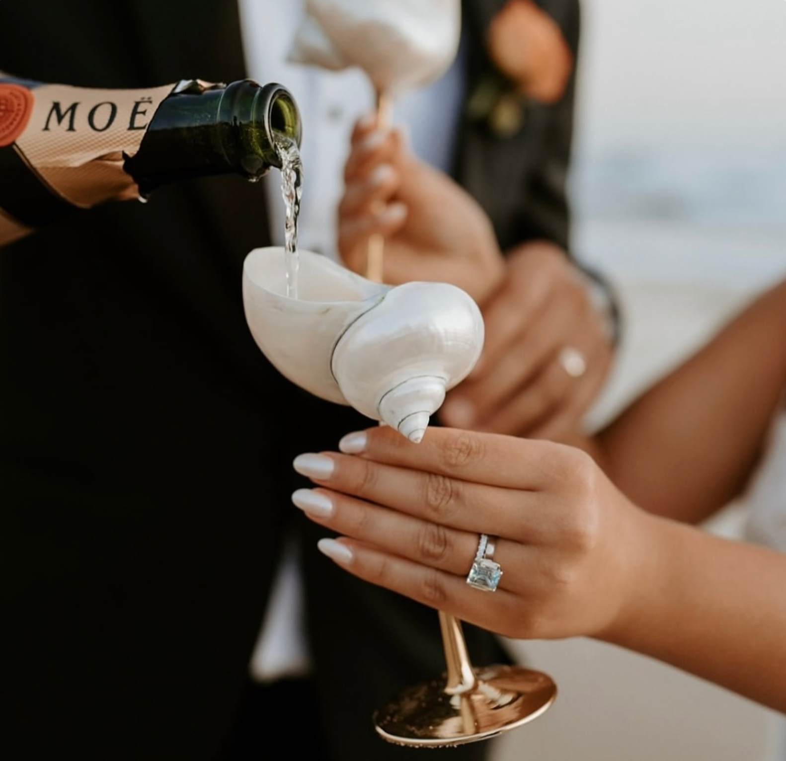 Shell Cocktail Glass Bundle