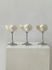 Conch Shell Cocktail Glass: Silver