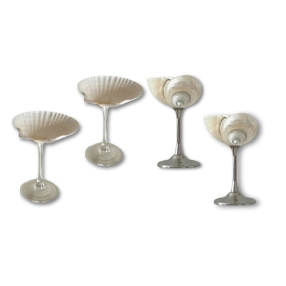 Shell Cocktail Glass Bundle