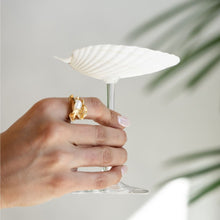 Shell Cocktail Glass Bundle