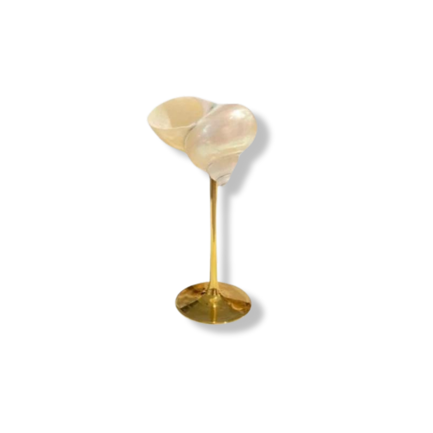 Conch Shell Wine or Cocktail Glass: Gold Stem