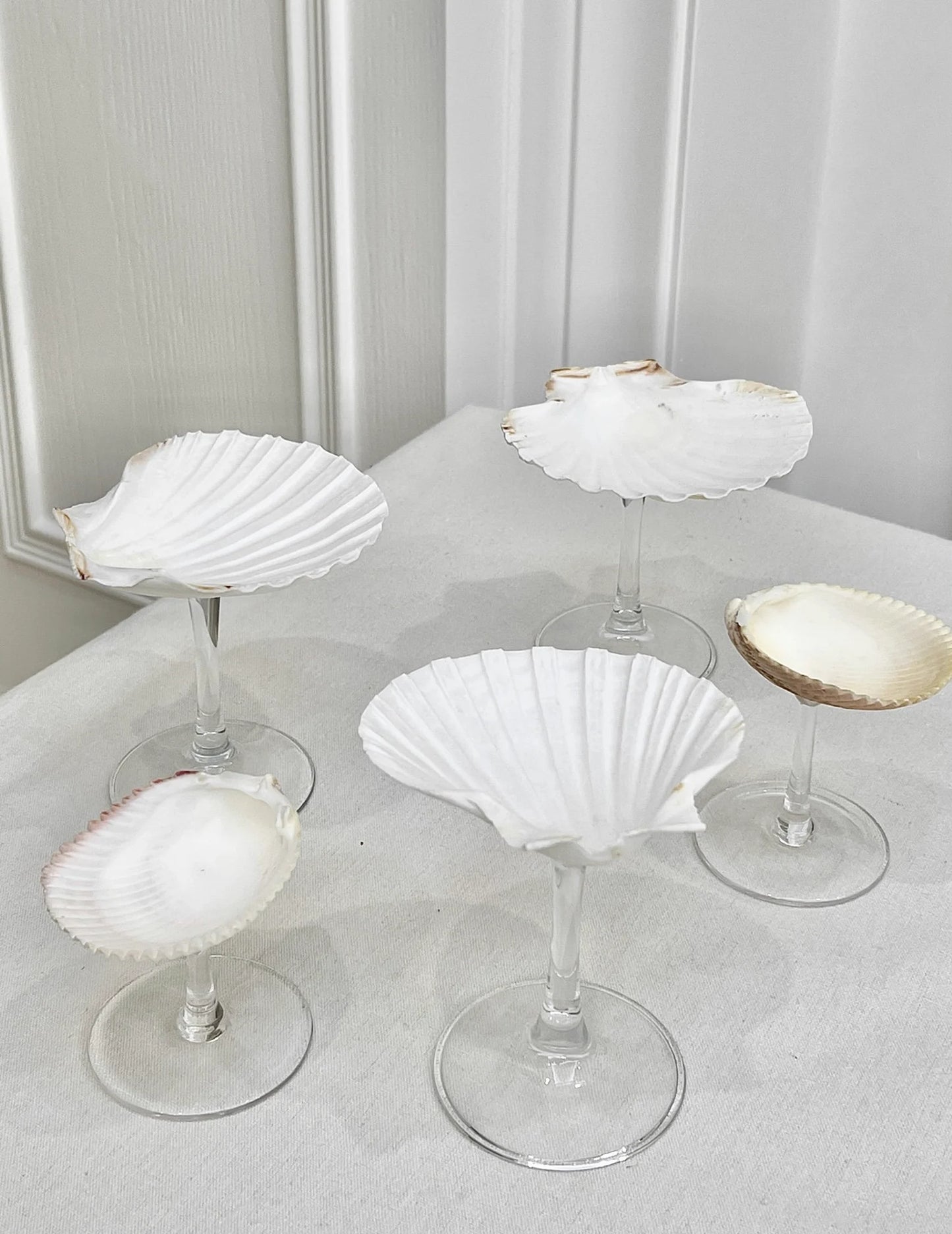 Sea Shell Glass