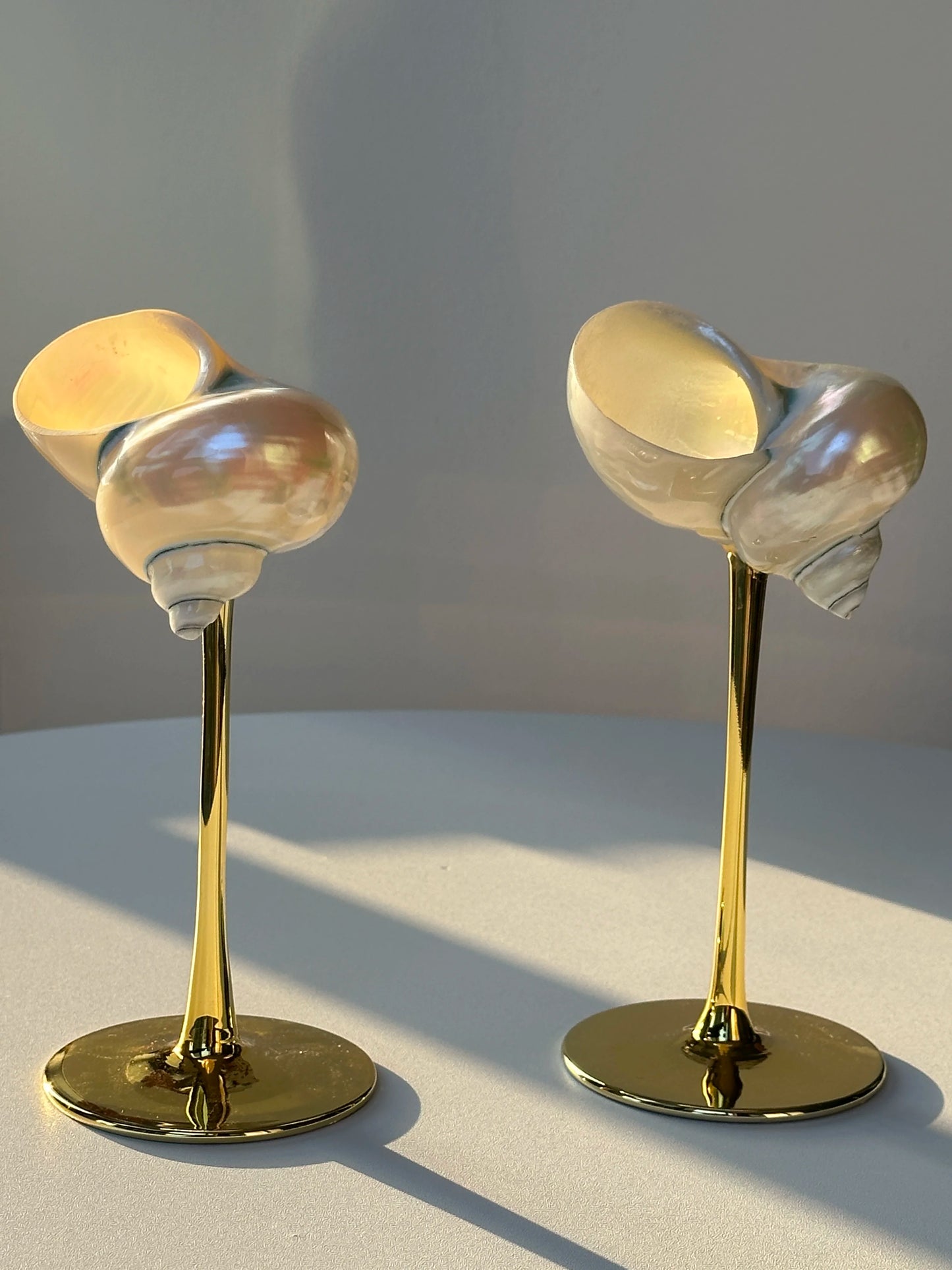 Conch Shell Wine or Cocktail Glass: Gold Stem