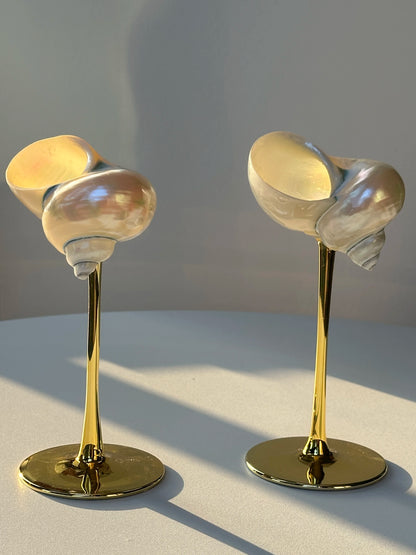 Conch Shell Wine or Cocktail Glass: Gold Stem